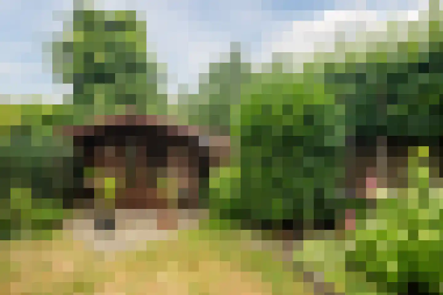 Omloop 7 Barchem thumbnail 60