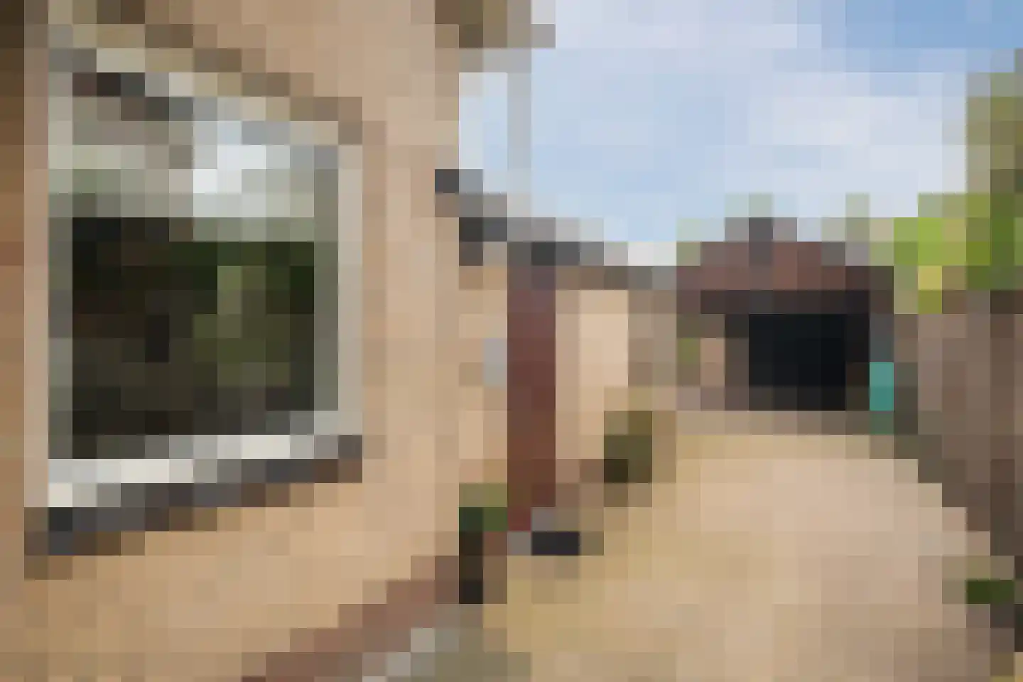 Omloop 7 Barchem thumbnail 66