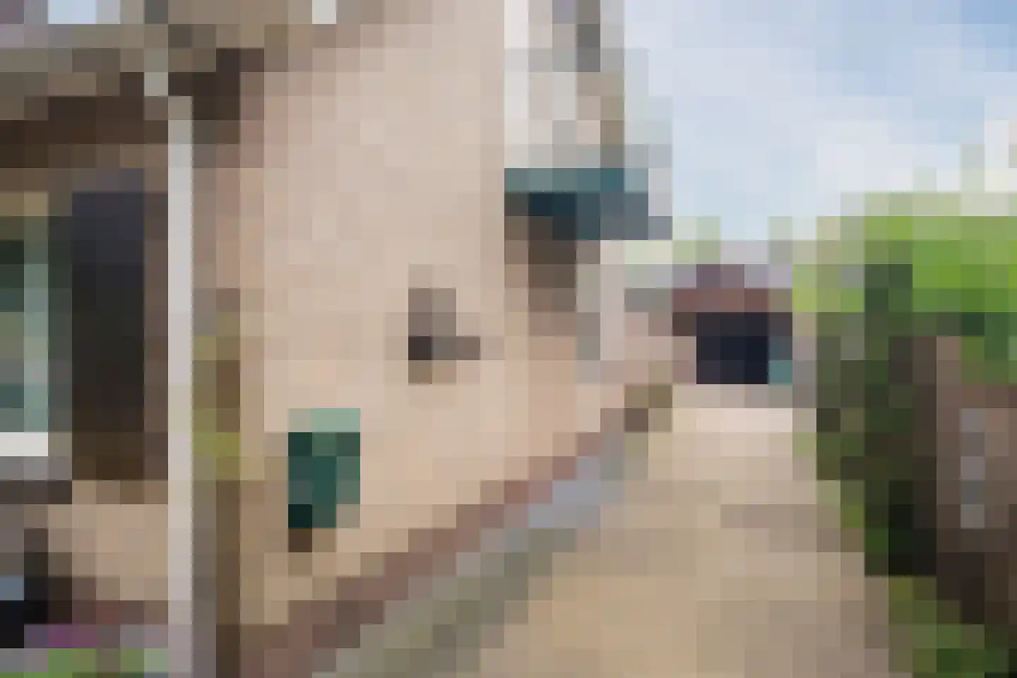 Omloop 7 Barchem thumbnail 67