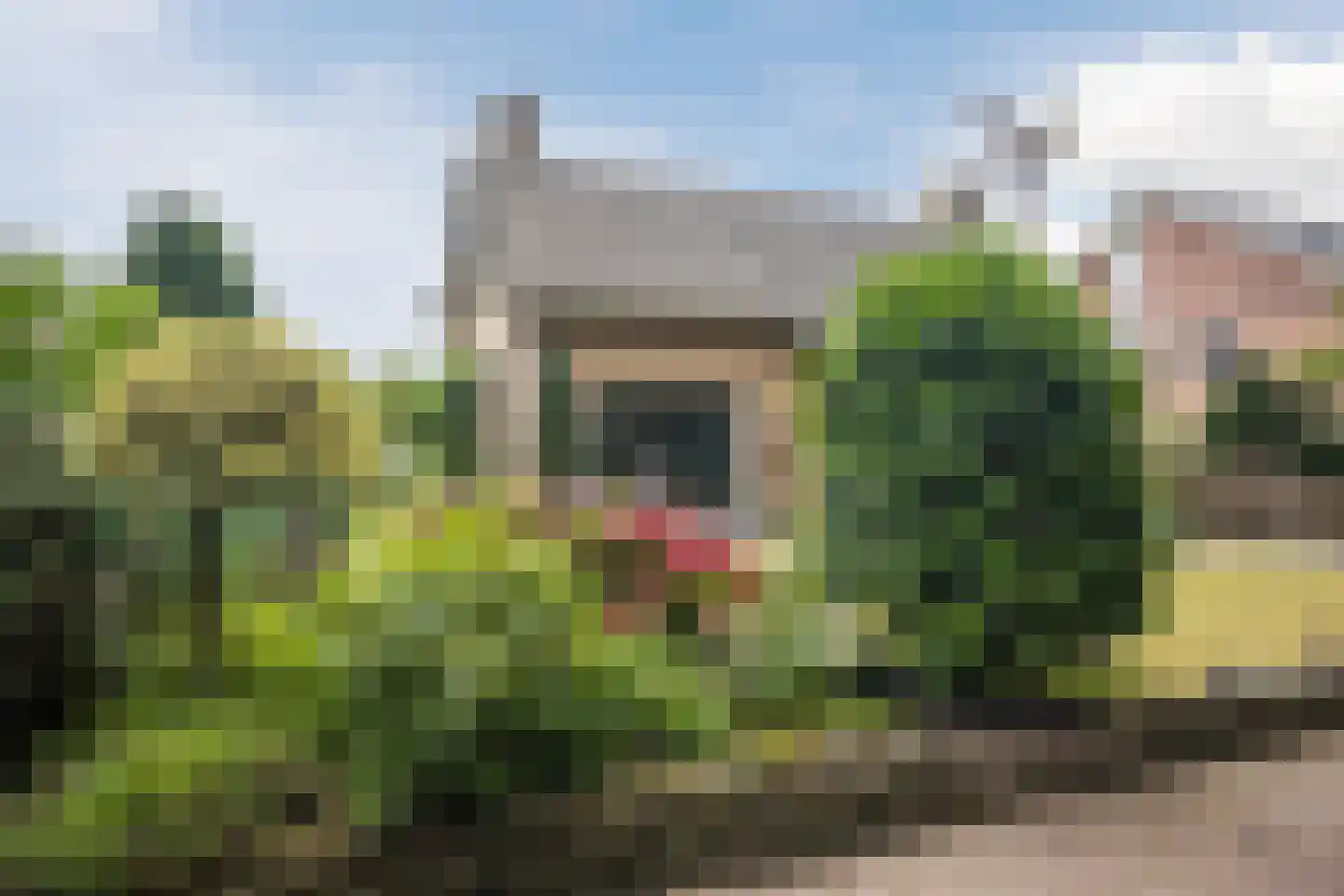 Omloop 7 Barchem thumbnail 7