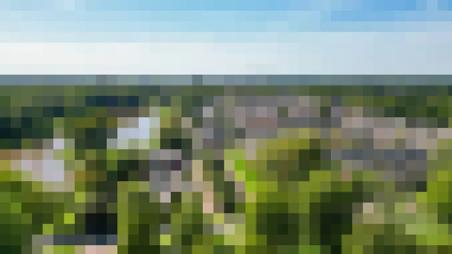 Omloop 7 Stadskanaal thumbnail 44