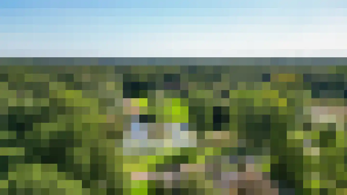 Omloop 7 Stadskanaal thumbnail 46