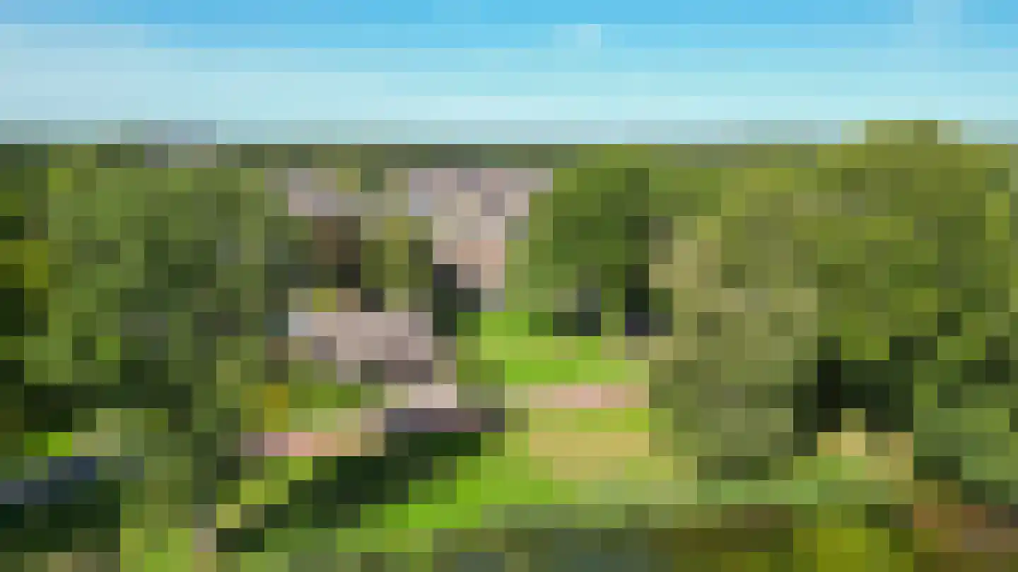 Omloop 7 Stadskanaal thumbnail 47