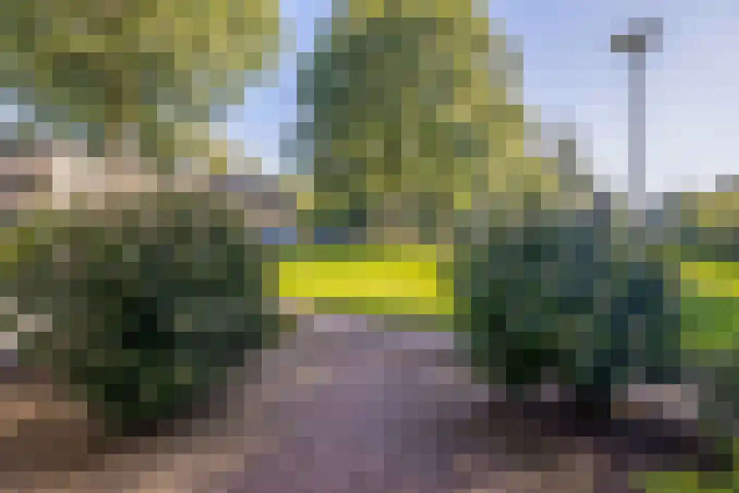 Omloop 7 Stadskanaal thumbnail 9