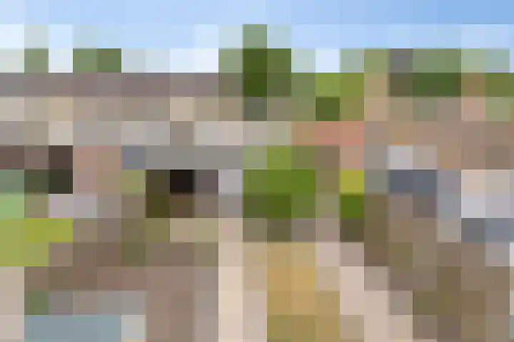 Omloop 77 Stadskanaal thumbnail 18