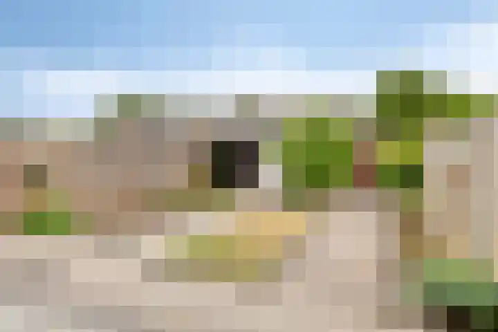 Omloop 77 Stadskanaal thumbnail 27
