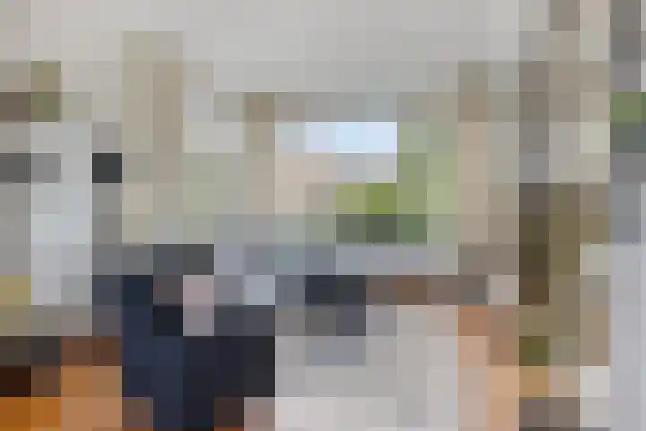 Omloop 77 Stadskanaal thumbnail 5