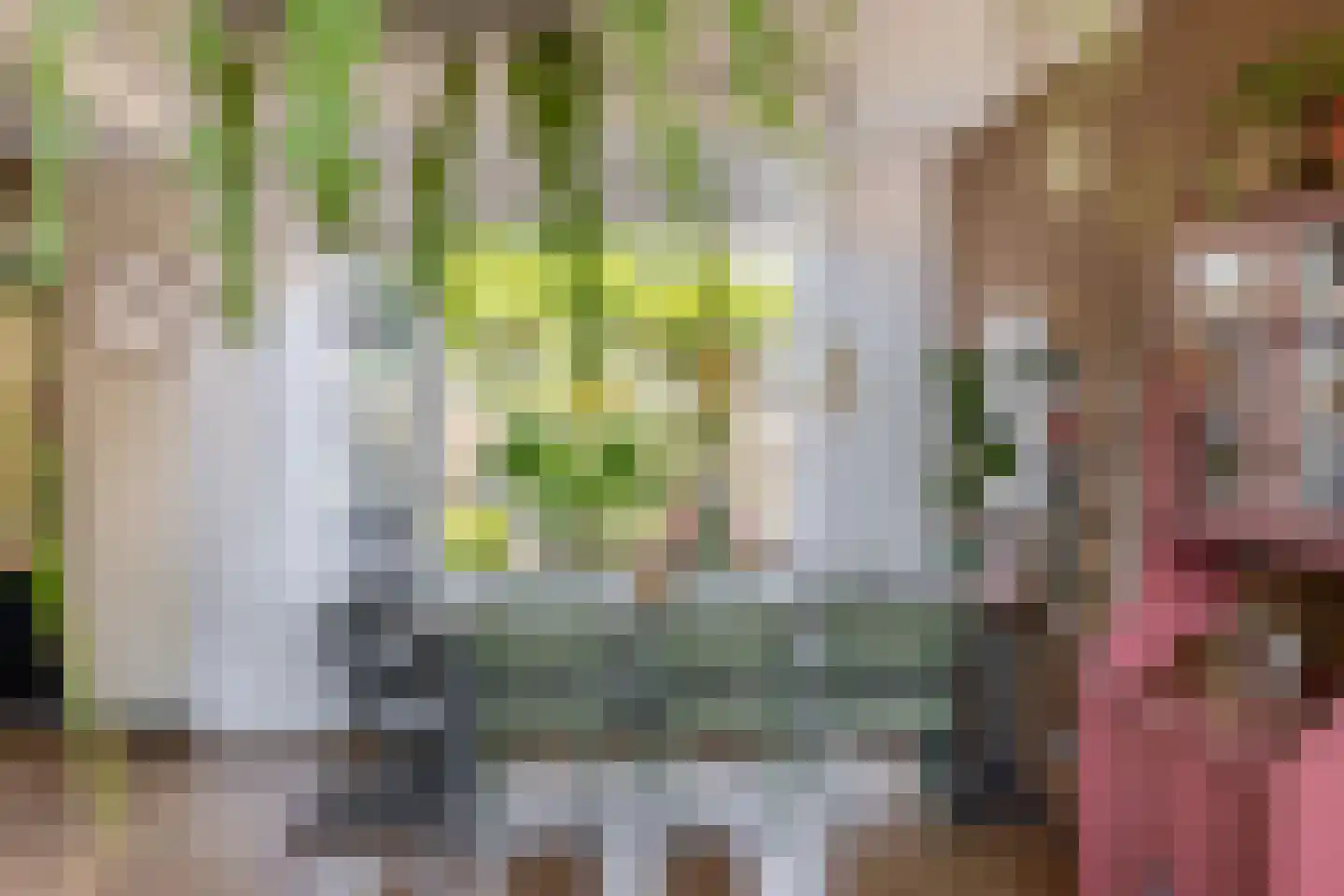 Omloop 81 Stadskanaal thumbnail 21
