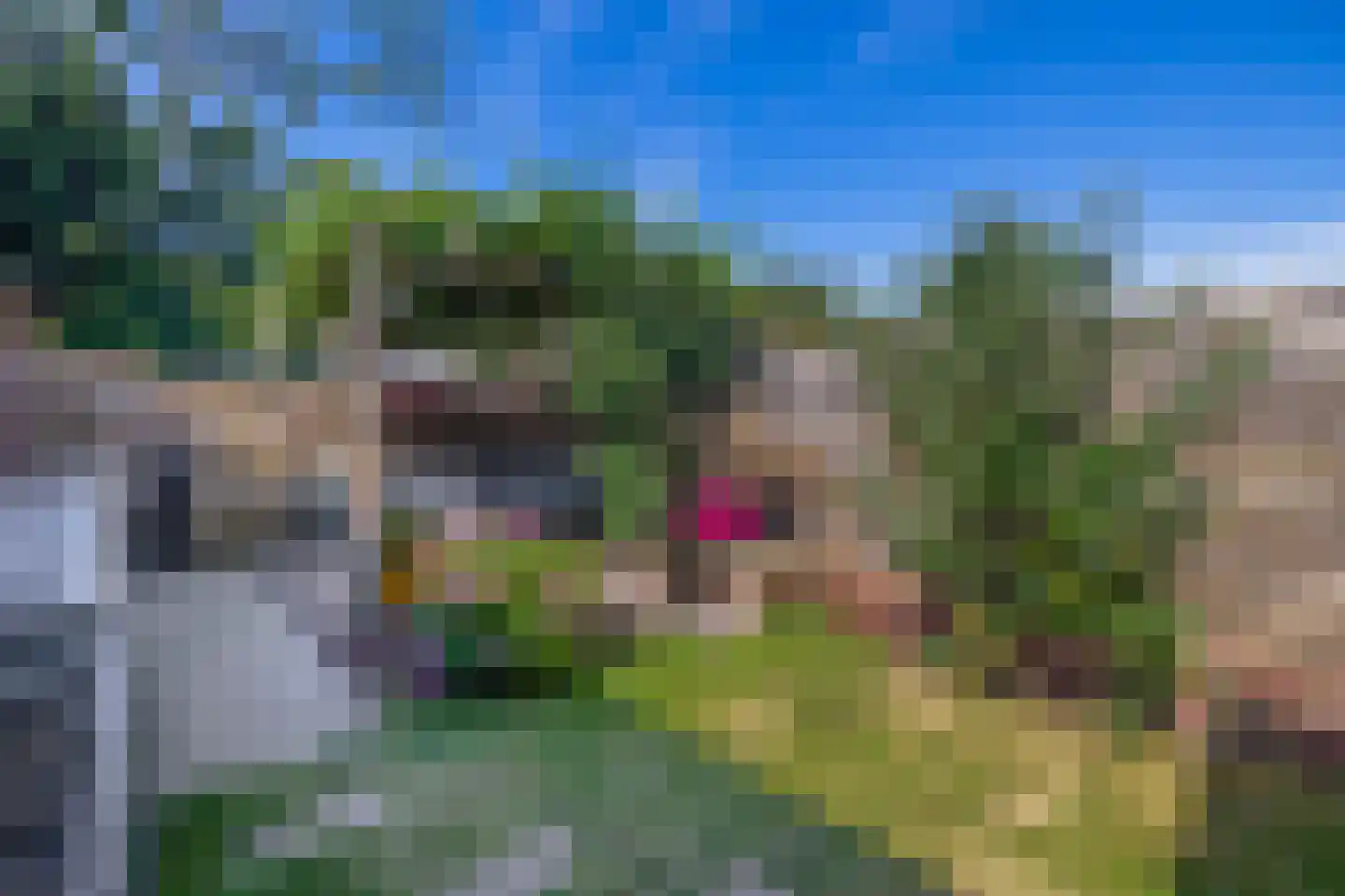 Omloop 81 Stadskanaal thumbnail 37