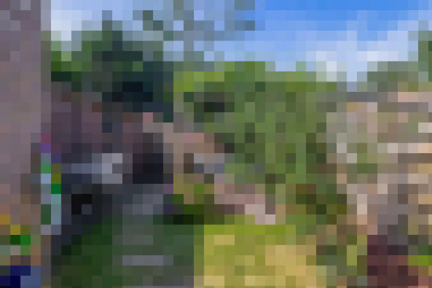 Omloop 81 Stadskanaal thumbnail 38