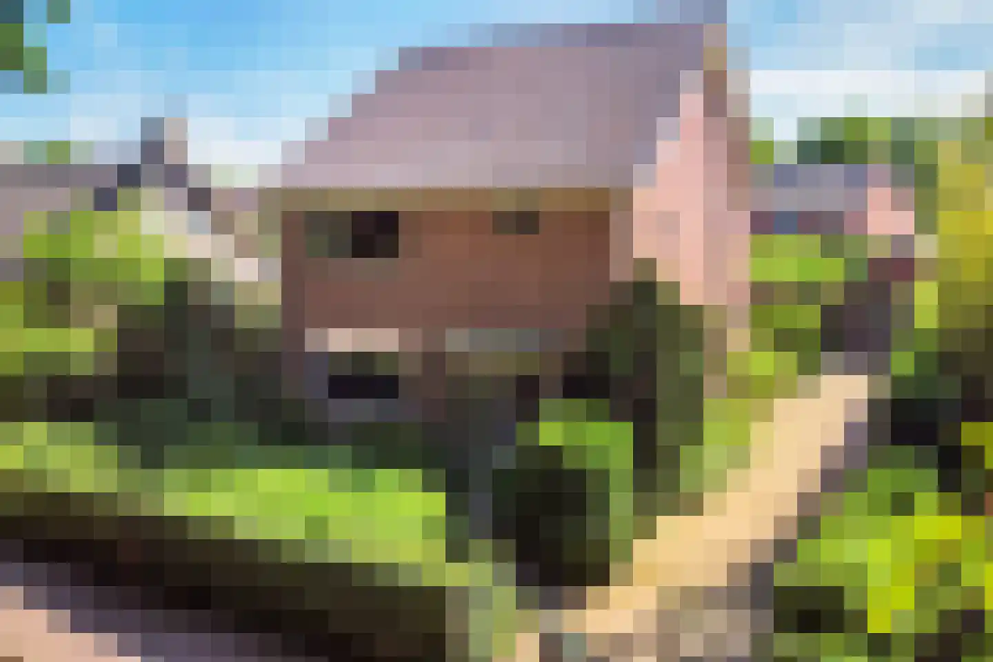 Omloop 9 Barchem thumbnail 40