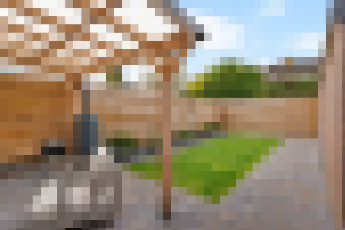 Omloop 91 Stadskanaal thumbnail 28