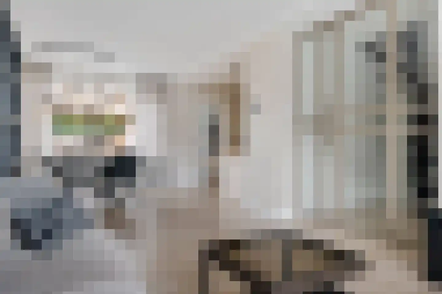 Omloop 91 Stadskanaal thumbnail 9