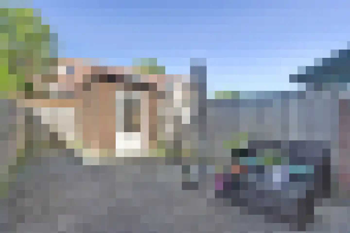 Omloopdijk 11 Rotterdam thumbnail 19