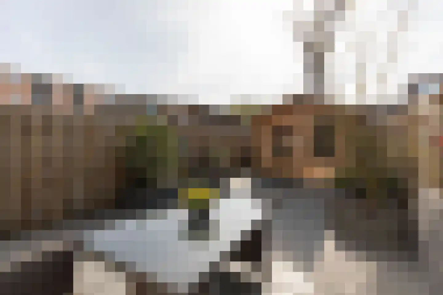 Omloopdijk 12 Rotterdam thumbnail 21