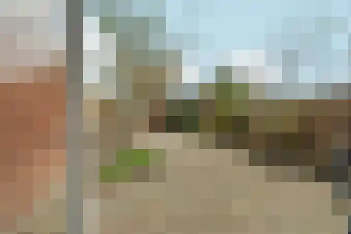 Omloopdijk 27 Rotterdam thumbnail 29
