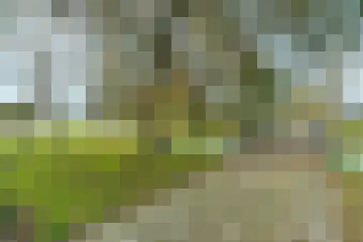 Omloopdijk 27 Rotterdam thumbnail 37
