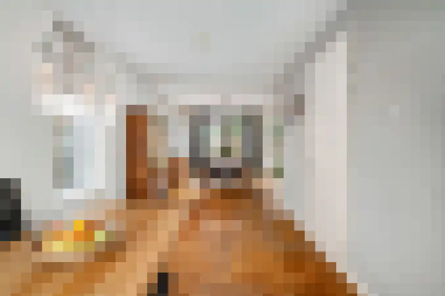Omloopseweg 4 a Rhoon thumbnail 12