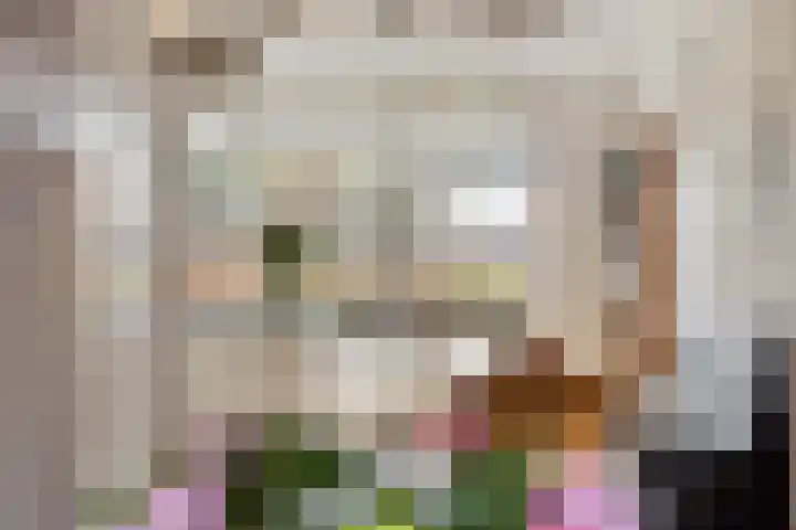 Omloopseweg 4 a Rhoon thumbnail 17