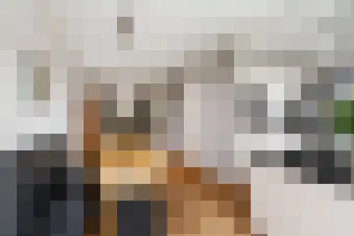 Omloopseweg 4 a Rhoon thumbnail 19