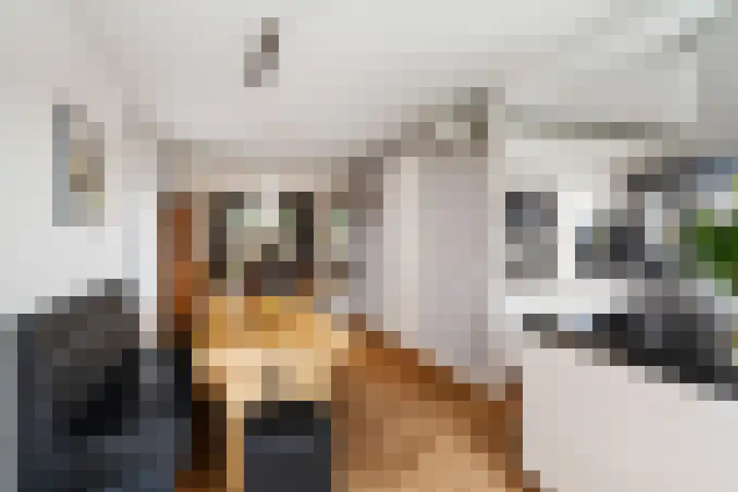 Omloopseweg 4 a Rhoon thumbnail 19