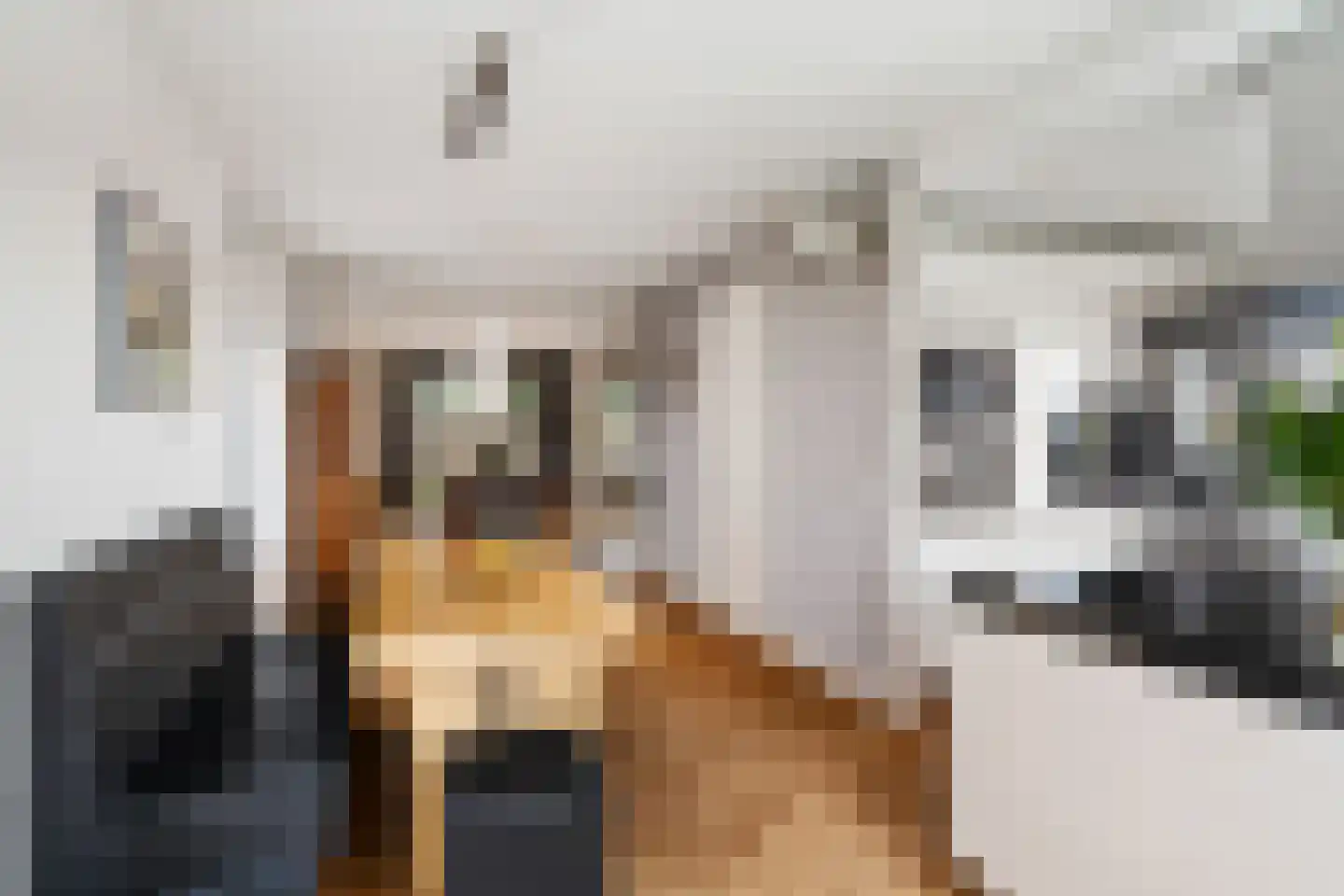 Omloopseweg 4 a Rhoon thumbnail 19