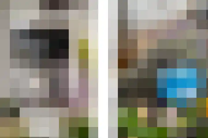 Omloopseweg 4 a Rhoon thumbnail 20