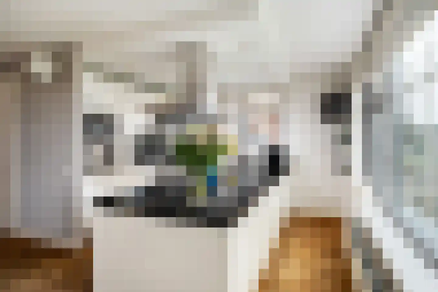 Omloopseweg 4 a Rhoon thumbnail 22