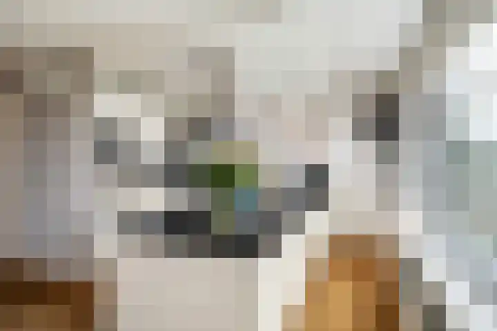 Omloopseweg 4 a Rhoon thumbnail 22