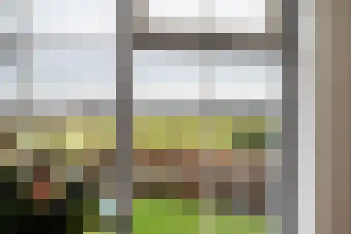 Omloopseweg 4 a Rhoon thumbnail 24