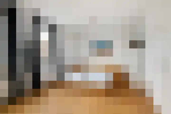 Omloopseweg 4 a Rhoon thumbnail 29