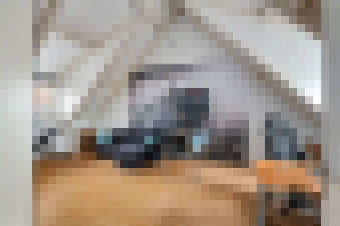 Omloopseweg 4 a Rhoon thumbnail 36