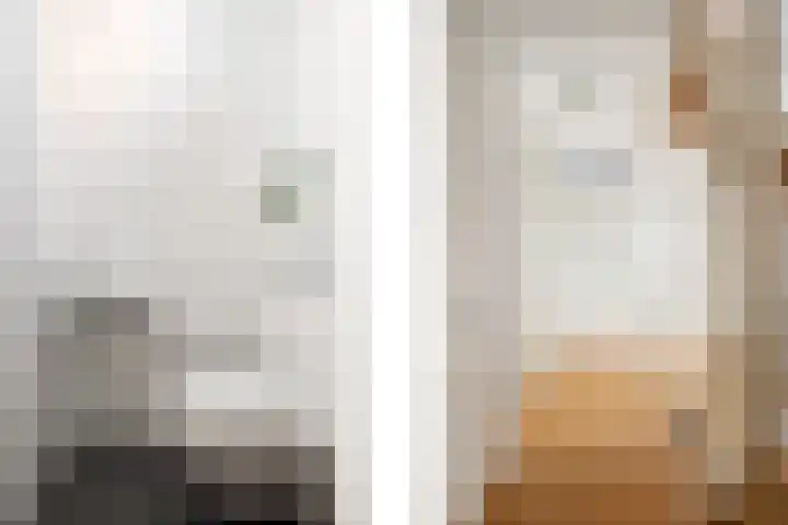 Omloopseweg 4 a Rhoon thumbnail 40