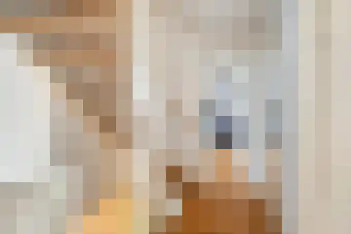 Omloopseweg 4 a Rhoon thumbnail 41