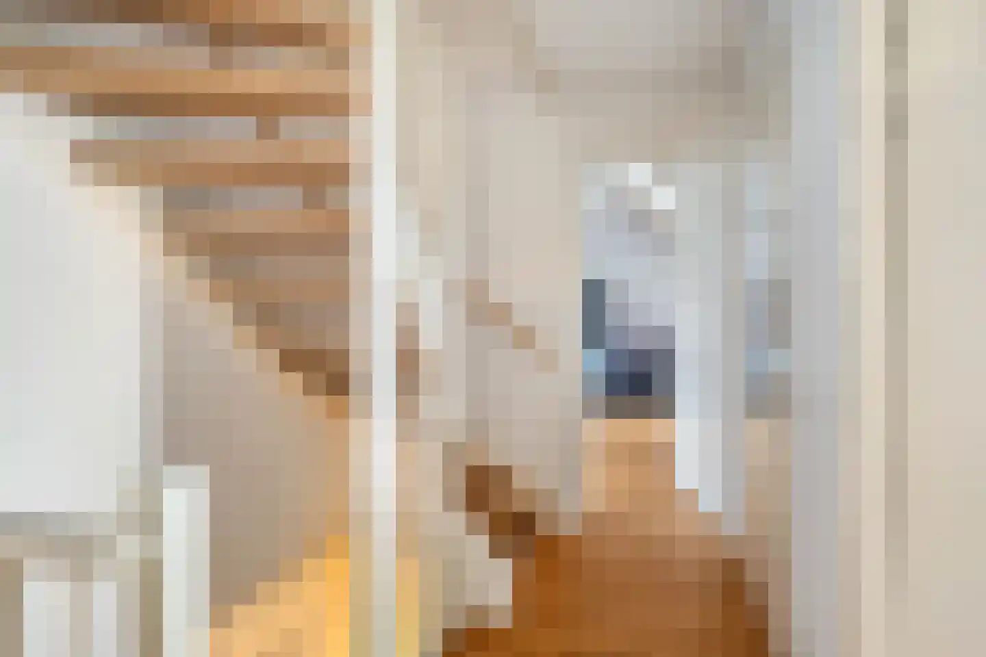 Omloopseweg 4 a Rhoon thumbnail 41