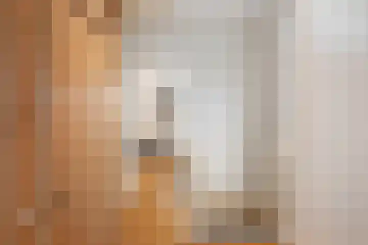 Omloopseweg 4 a Rhoon thumbnail 42