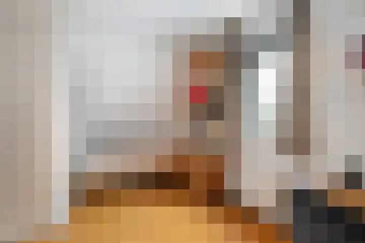 Omloopseweg 4 a Rhoon thumbnail 46