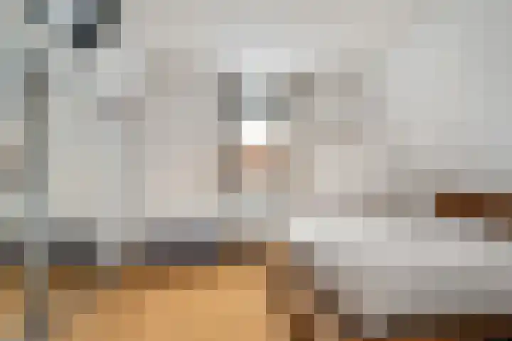 Omloopseweg 4 a Rhoon thumbnail 48
