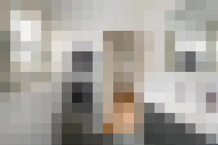 Omloopseweg 4 a Rhoon thumbnail 51