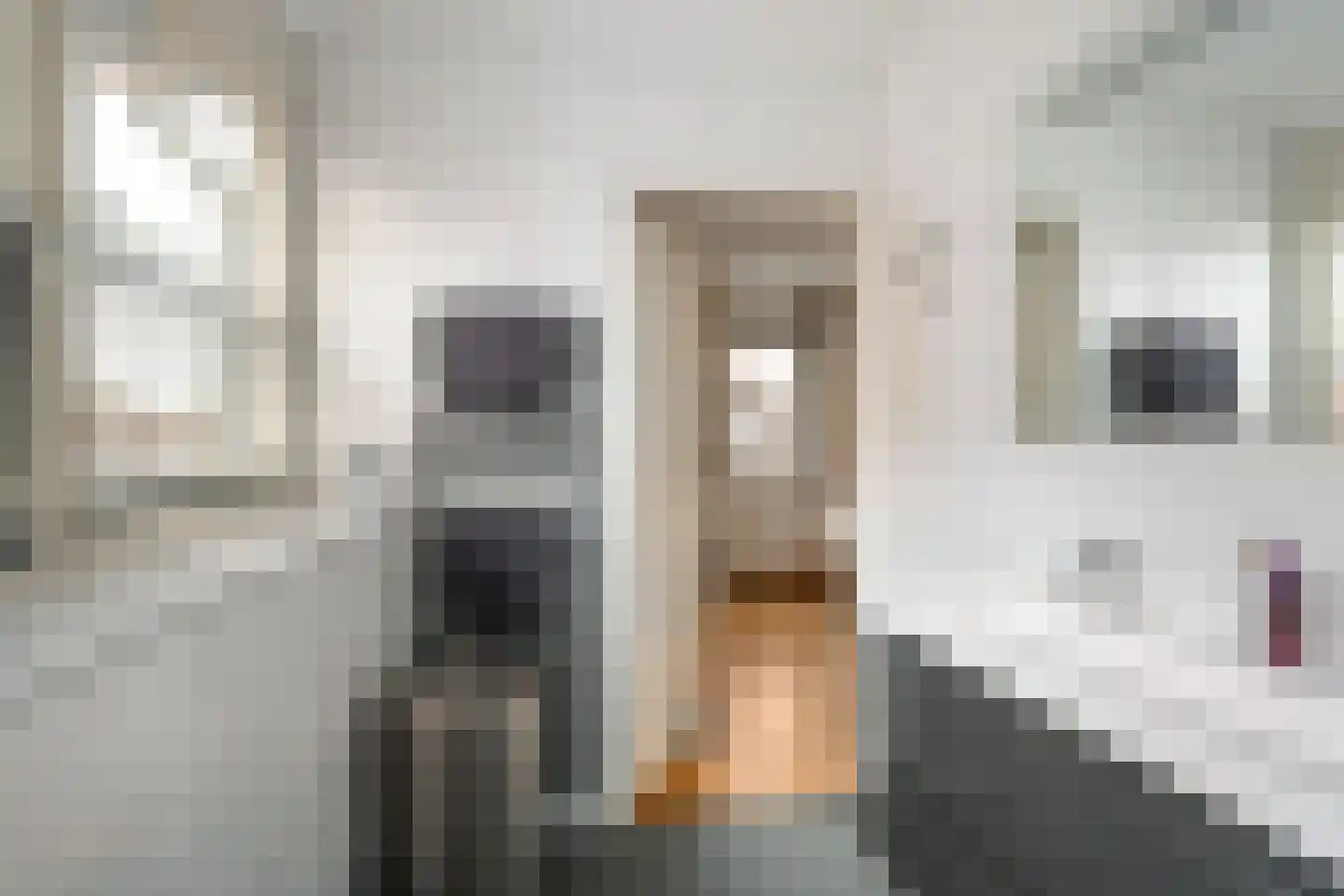 Omloopseweg 4 a Rhoon thumbnail 51