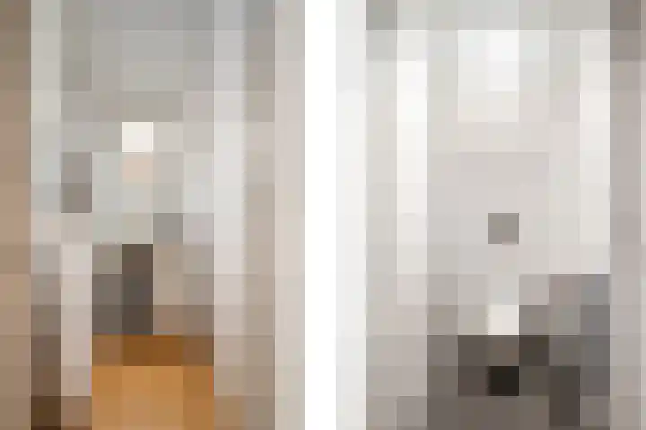 Omloopseweg 4 a Rhoon thumbnail 52