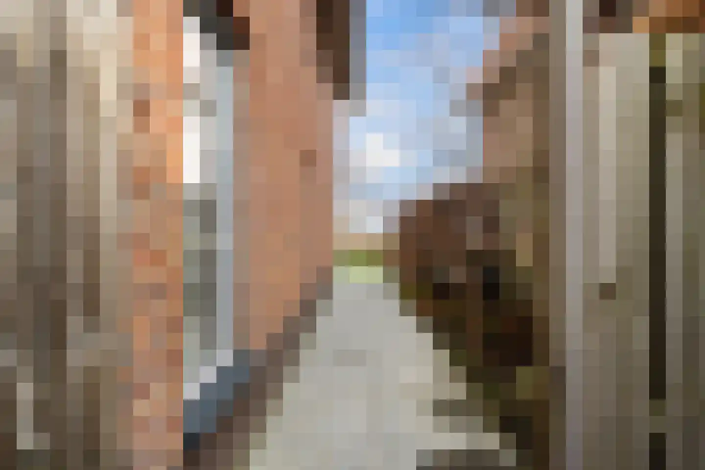 Omloopseweg 4 a Rhoon thumbnail 54