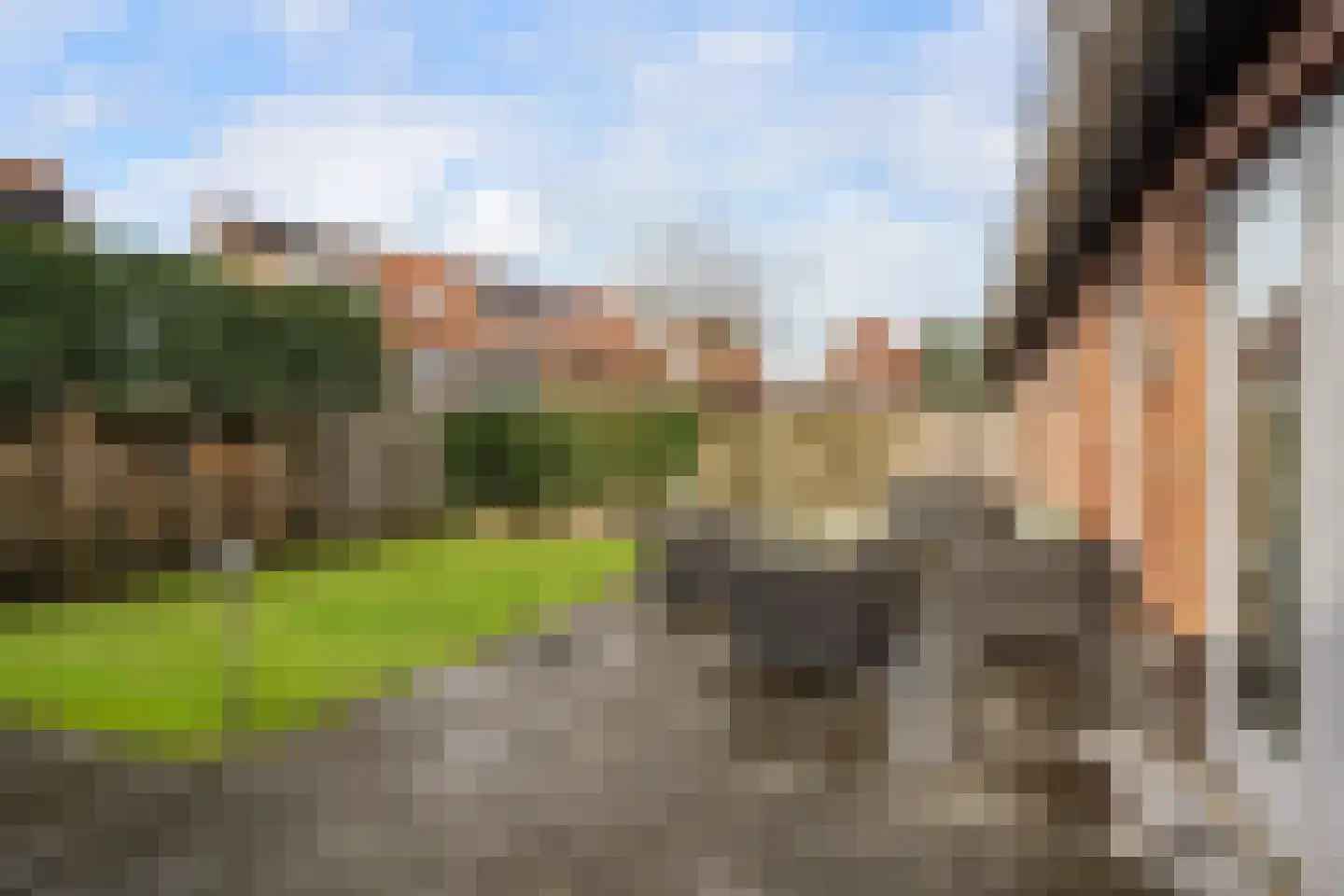 Omloopseweg 4 a Rhoon thumbnail 55