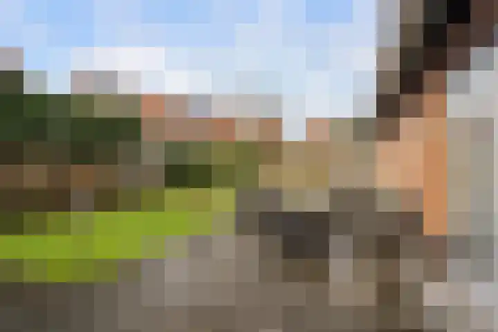 Omloopseweg 4 a Rhoon thumbnail 55