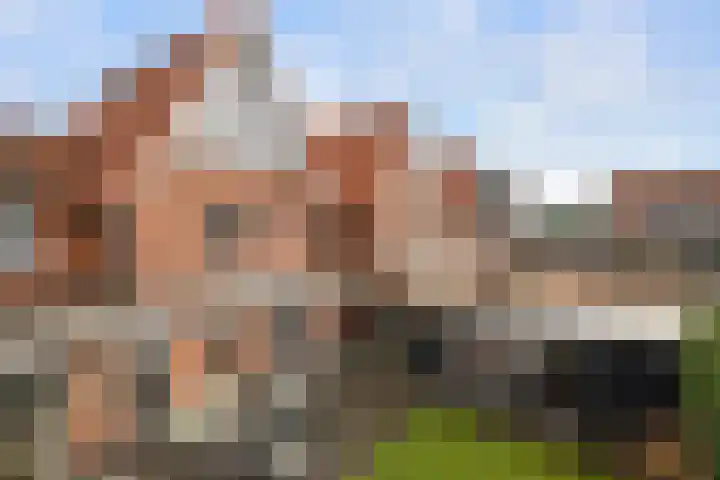 Omloopseweg 4 a Rhoon thumbnail 59