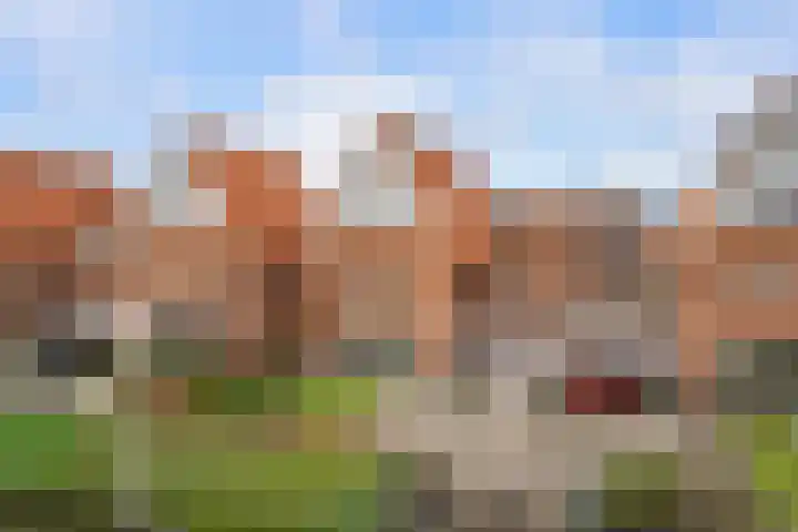 Omloopseweg 4 a Rhoon thumbnail 6