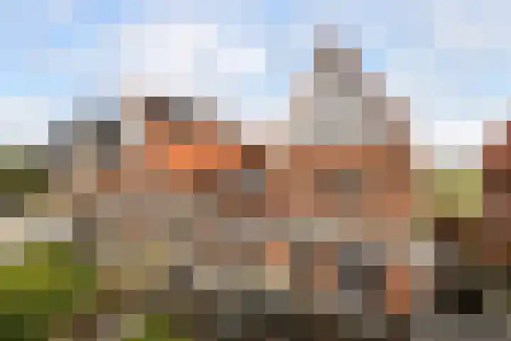 Omloopseweg 4 a Rhoon thumbnail 60