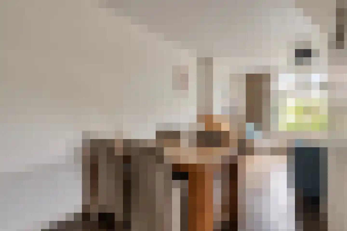 Omloopsweg 7 Burgh-Haamstede thumbnail 12