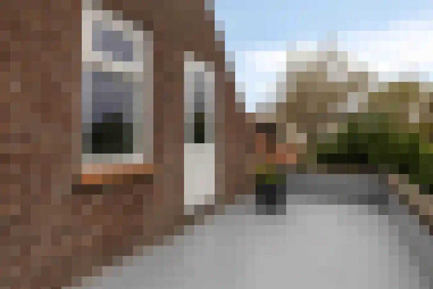 Omloopsweg 7 Burgh-Haamstede thumbnail 28