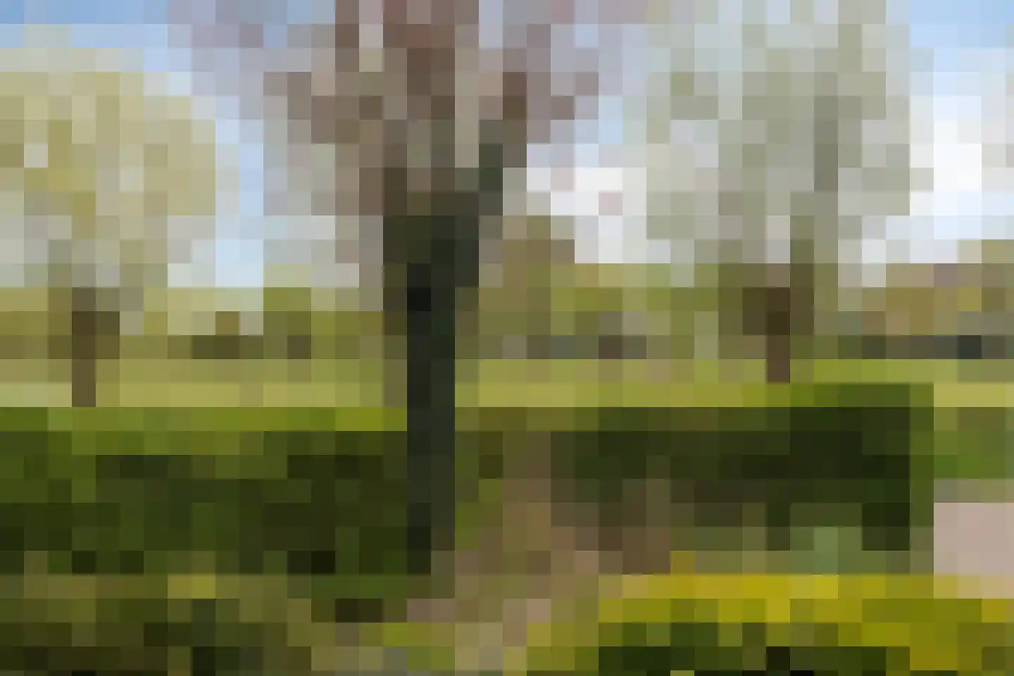 Omloopsweg 7 Burgh-Haamstede thumbnail 32